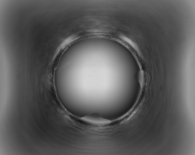 X0000086101357200703301205