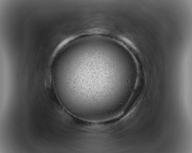 X0000086101358200703301205