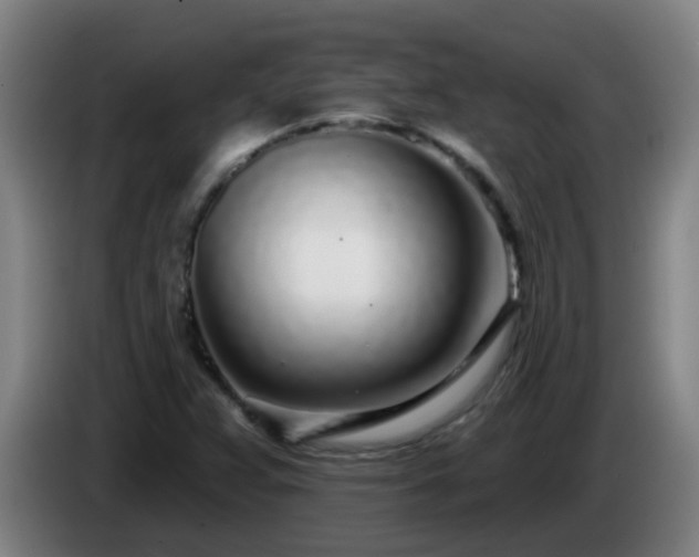 X0000086101359200703301205