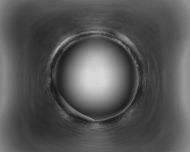 X0000086101360200703301205