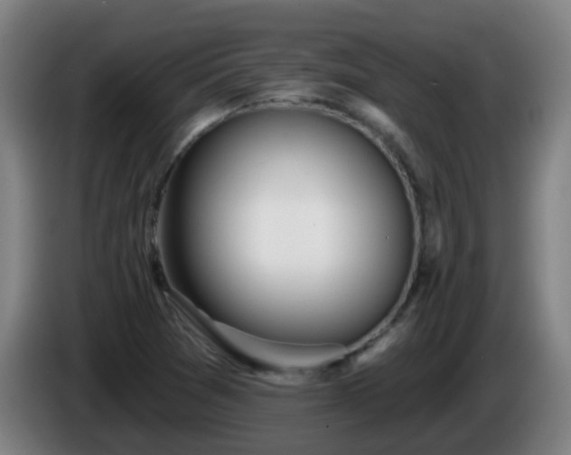 X0000086101361200703301205