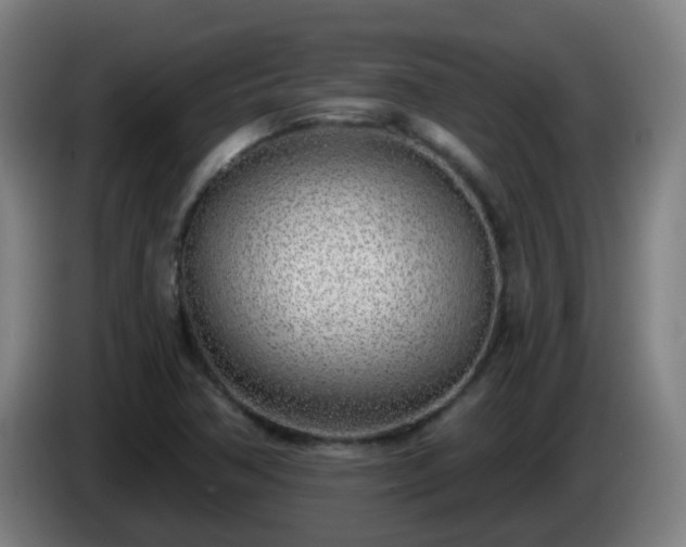 X0000086101362200703301205
