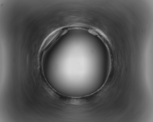 X0000086101364200703301205