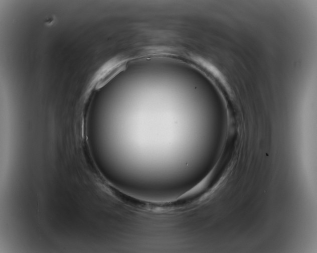X0000086101365200703301205
