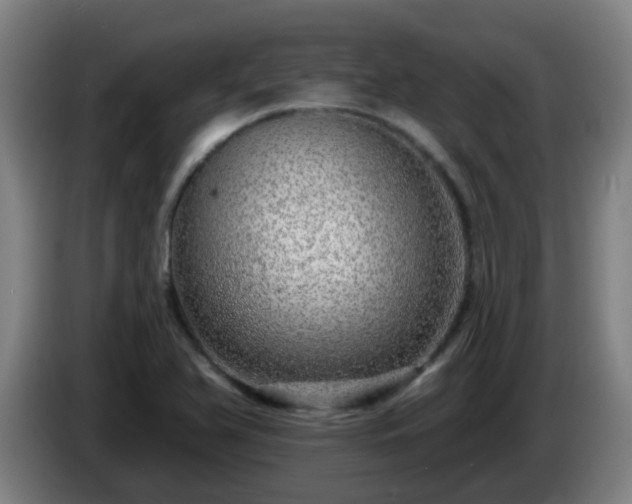 X0000086101366200703301205