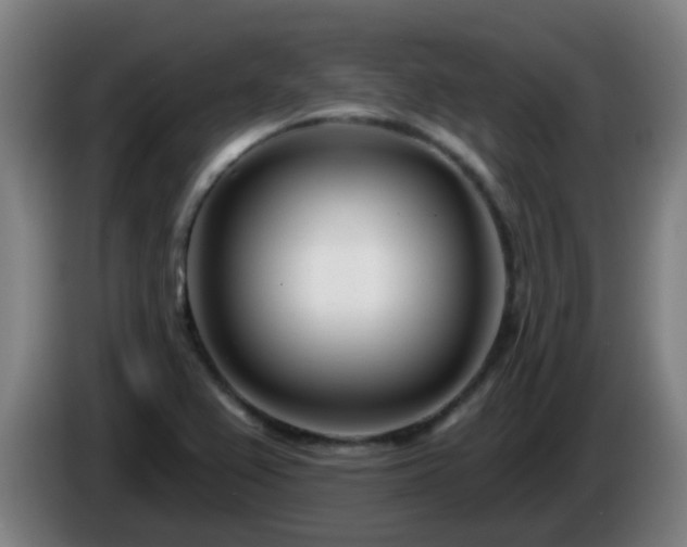X0000086101367200703301205