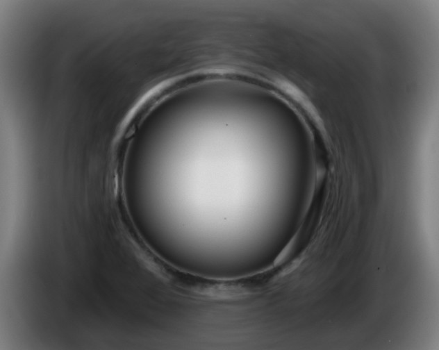 X0000086101368200703301205