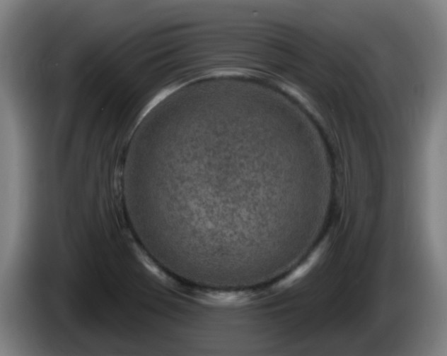 X0000086101369200703301205