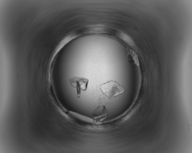 X0000086101370200703301205