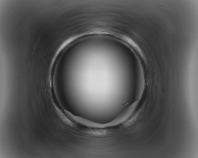 X0000086101372200703301205