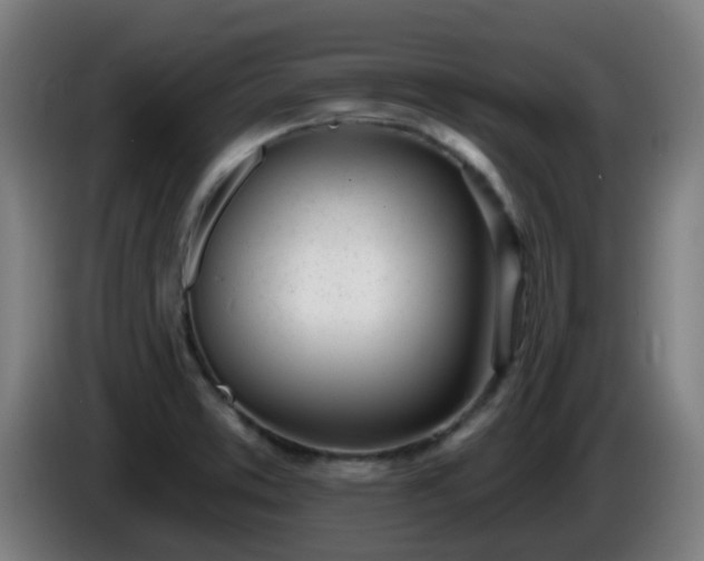 X0000086101373200703301205