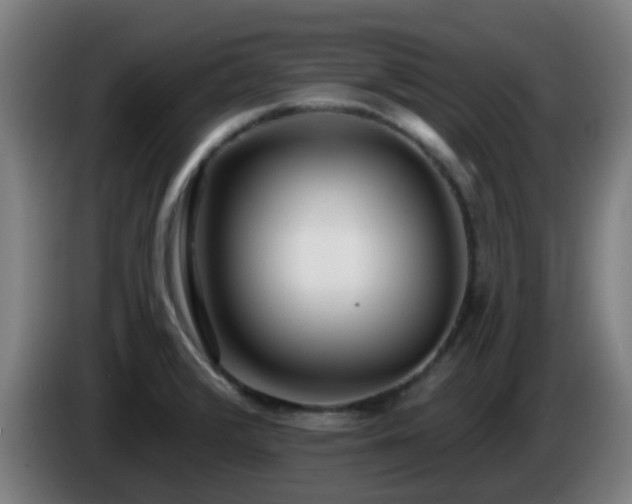 X0000086101376200703301205