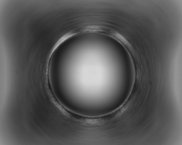 X0000086101378200703301205