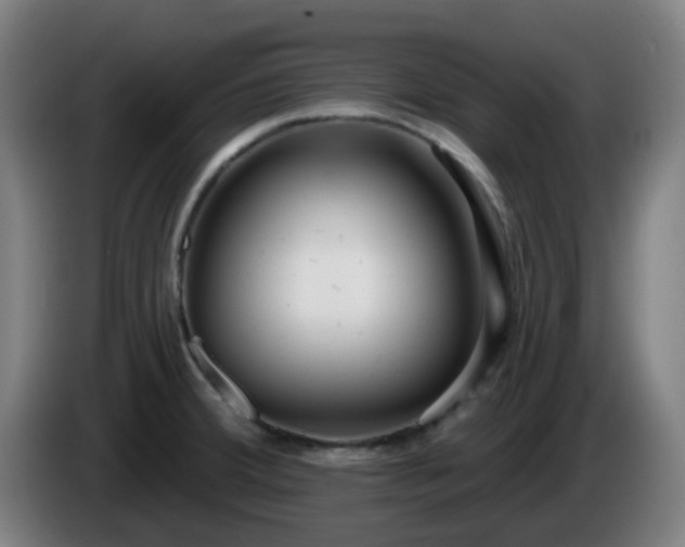 X0000086101380200703301205