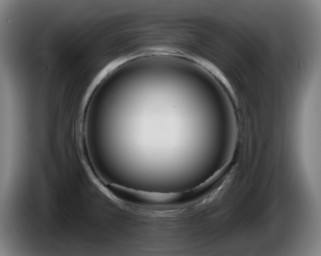 X0000086101381200703301205