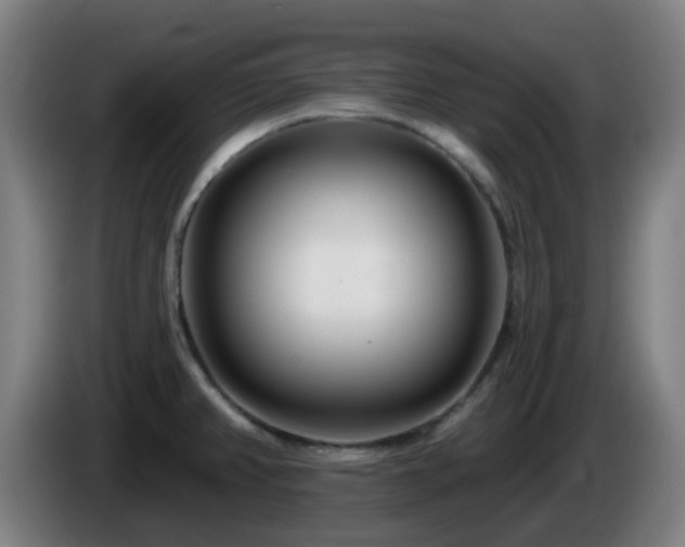 X0000086101382200703301205