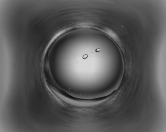 X0000086101384200703301205