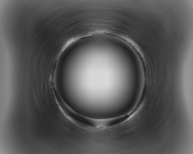 X0000086101385200703301205