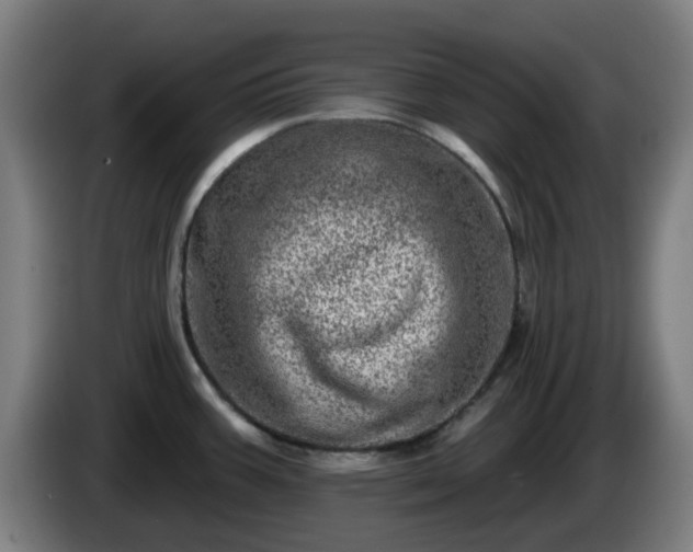 X0000086101387200703301205