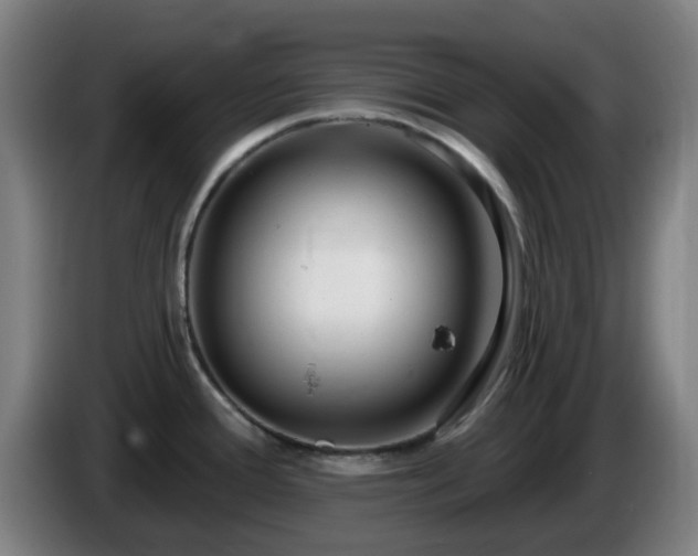 X0000086101388200703301205