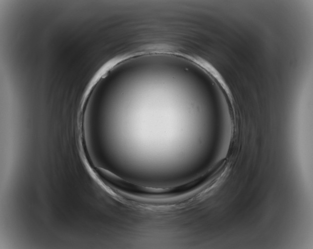 X0000086101389200703301205