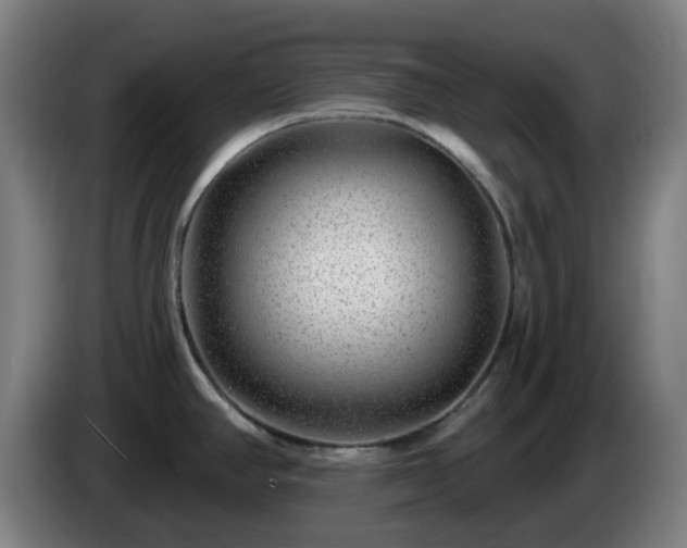 X0000086101390200703301205