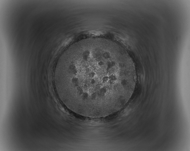X0000086101393200703301204