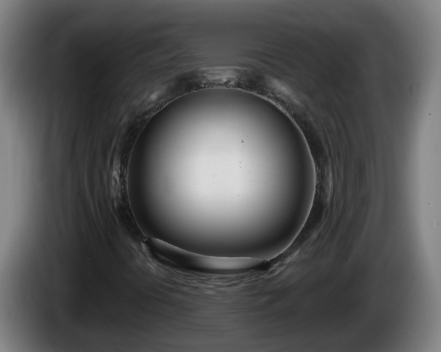 X0000086101394200703301204