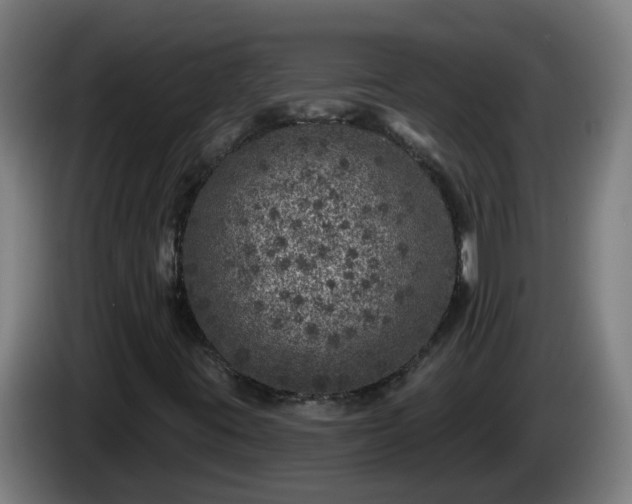 X0000086101395200703301204