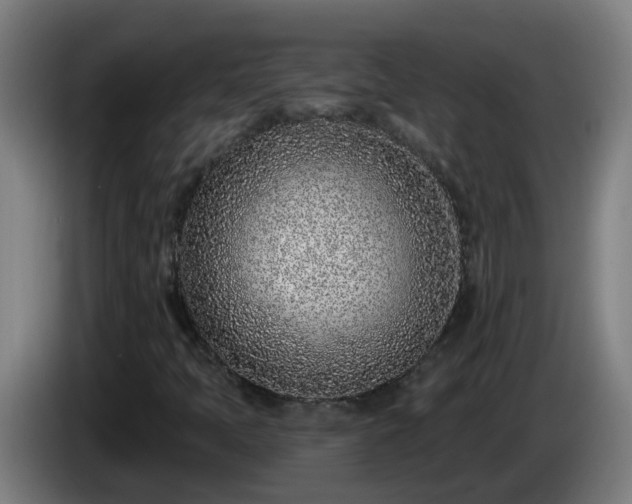 X0000086101397200703301204