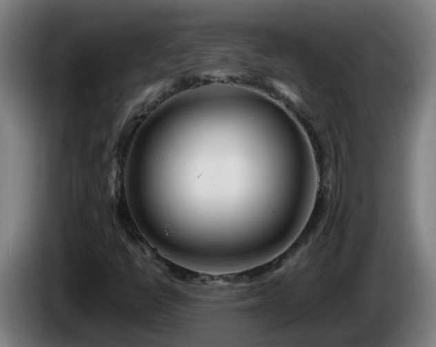 X0000086101398200703301204