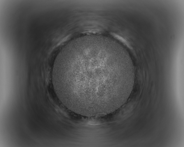 X0000086101399200703301204
