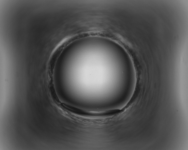 X0000086101400200703301204