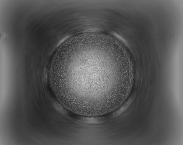 X0000086101401200703301204