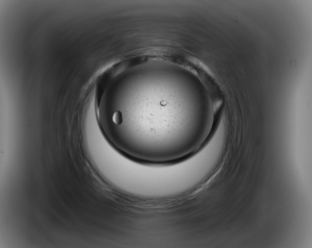 X0000086101402200703301204