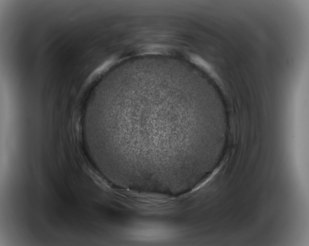 X0000086101403200703301204