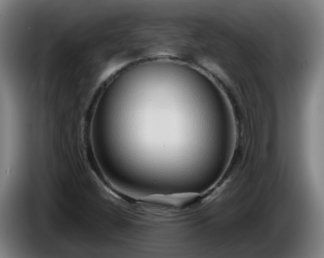 X0000086101404200703301204
