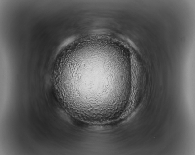 X0000086101405200703301204