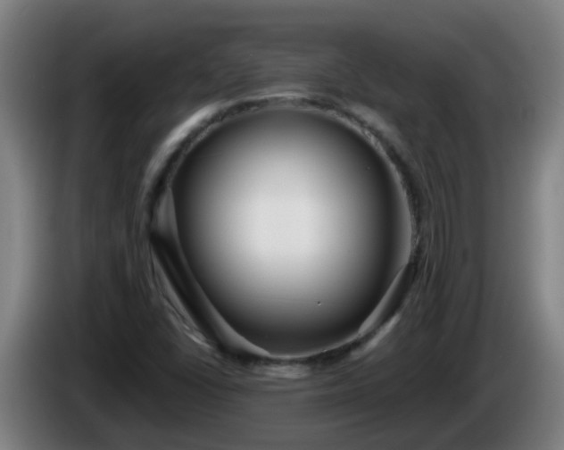 X0000086101406200703301204