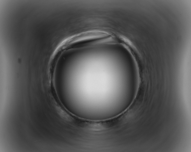X0000086101408200703301204