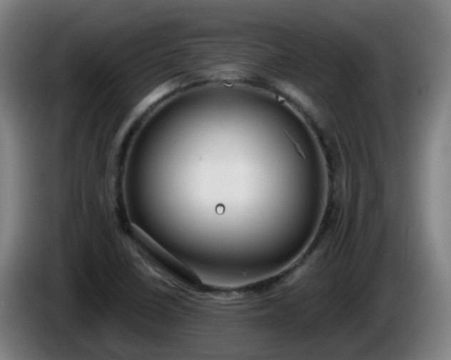 X0000086101410200703301204