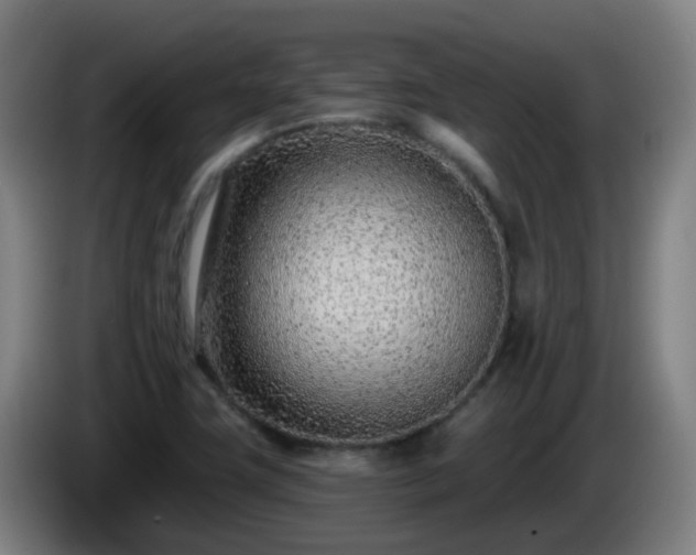 X0000086101411200703301204