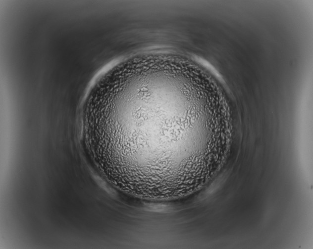 X0000086101413200703301204