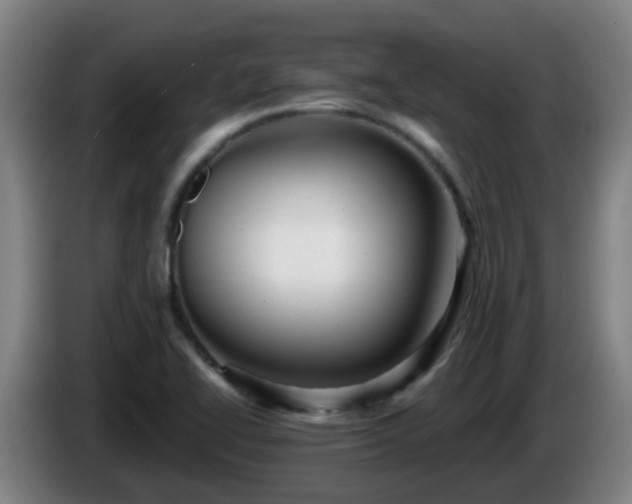 X0000086101414200703301204