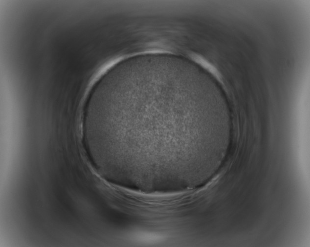 X0000086101415200703301204