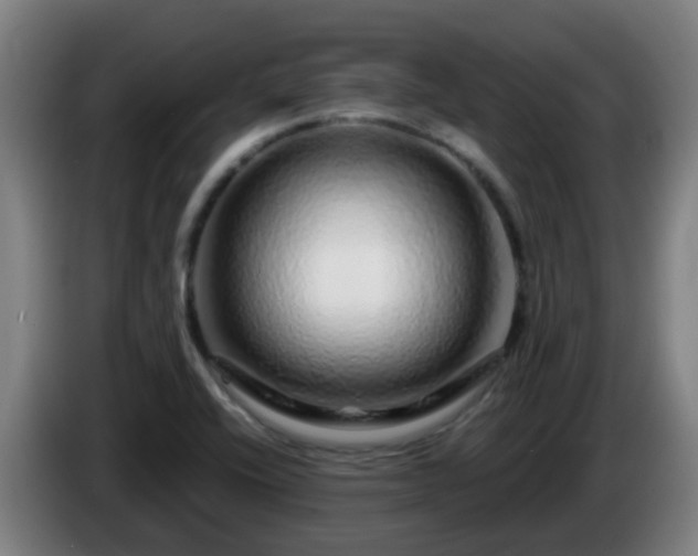 X0000086101416200703301204