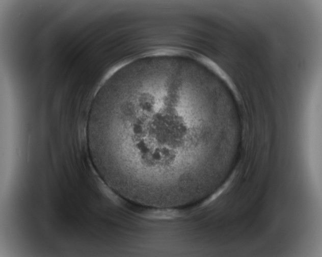 X0000086101417200703301204