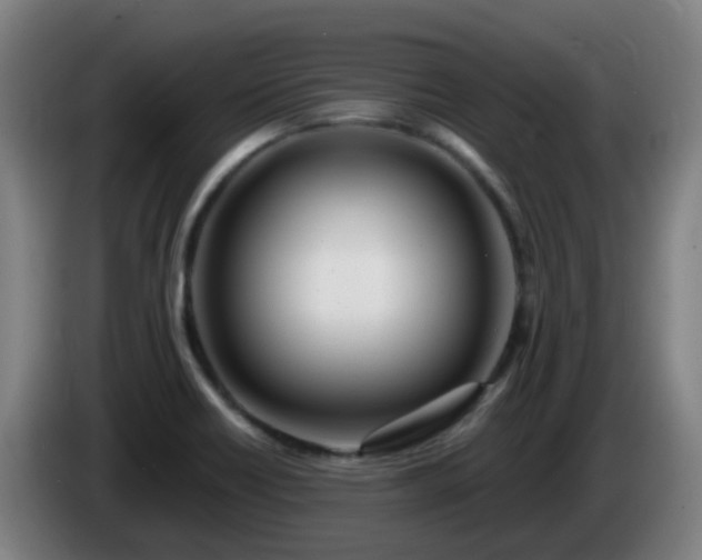 X0000086101418200703301204