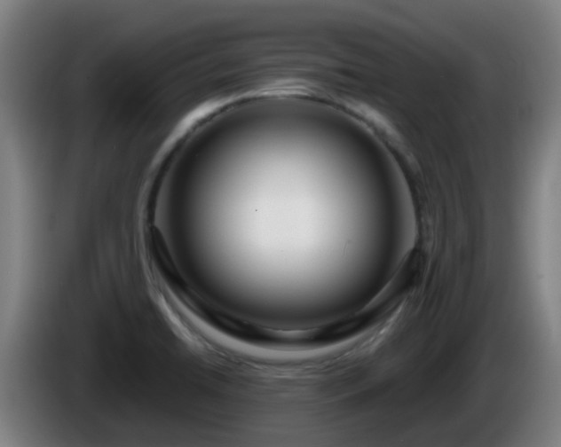 X0000086101422200703301204