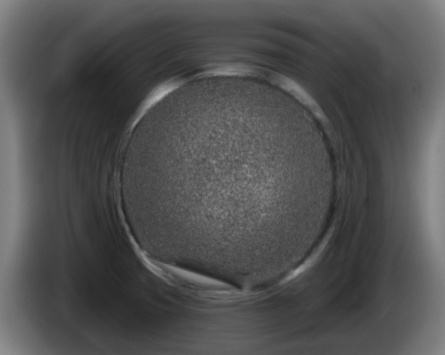 X0000086101425200703301204